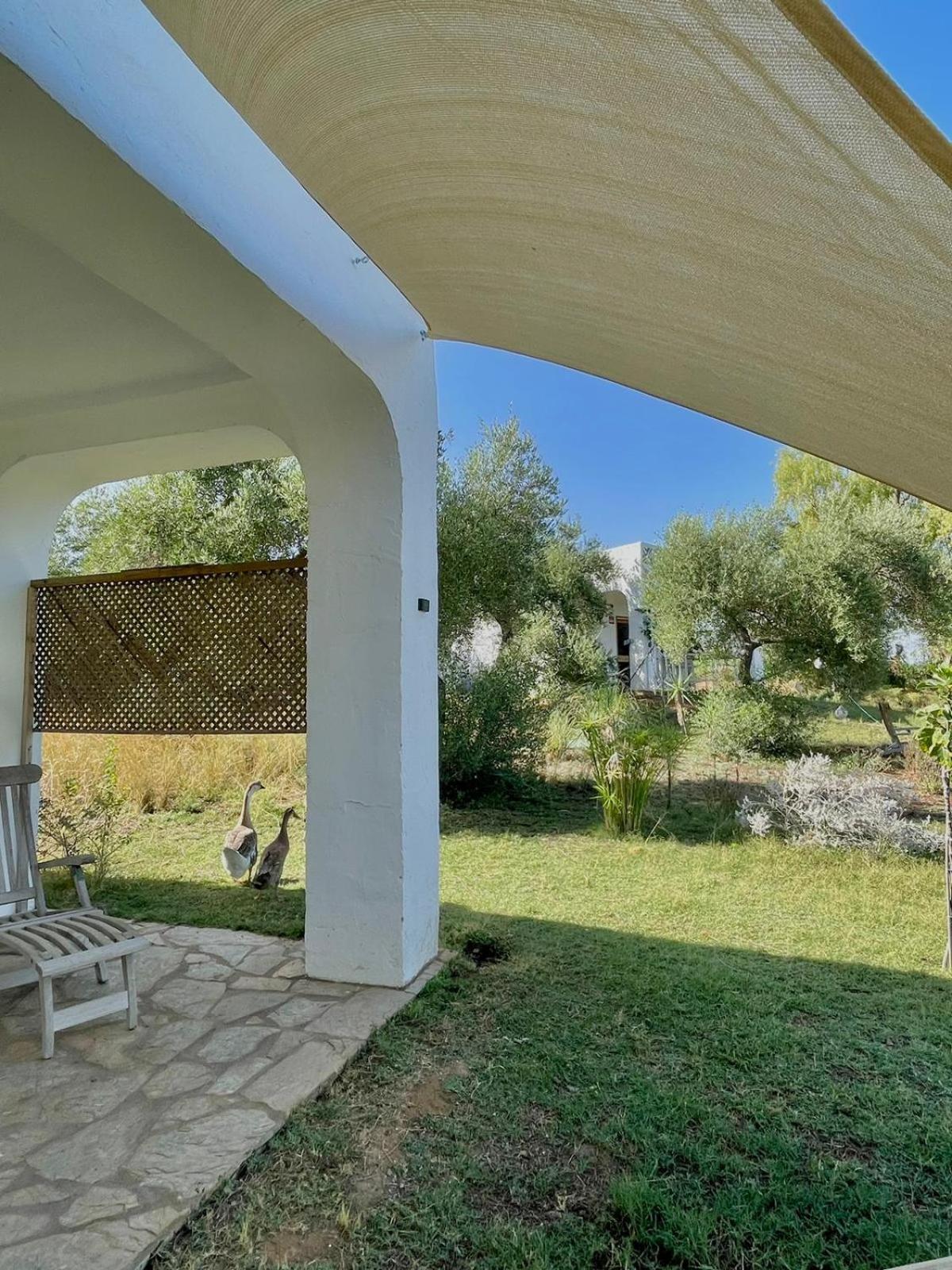 Bungalow -Escapadas En Arcos De La Frontera Exterior foto